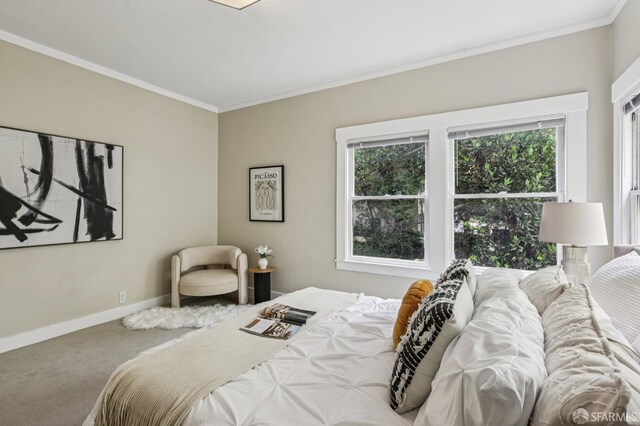 1767 Euclid Ave Unit 4, Berkeley, CA 94709 - photo 13