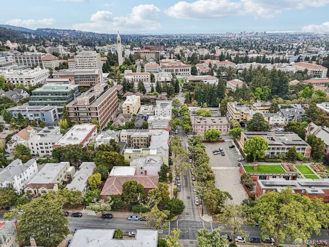 1767 Euclid Ave Unit 4, Berkeley, CA 94709 - photo 27