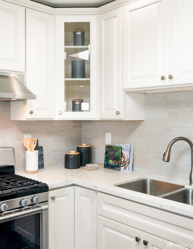 104 Bache St Unit A, San Francisco, CA 94110 - kitchen with stainless steel gas stove, under cabinet range hood, tasteful backsplash, and a sink