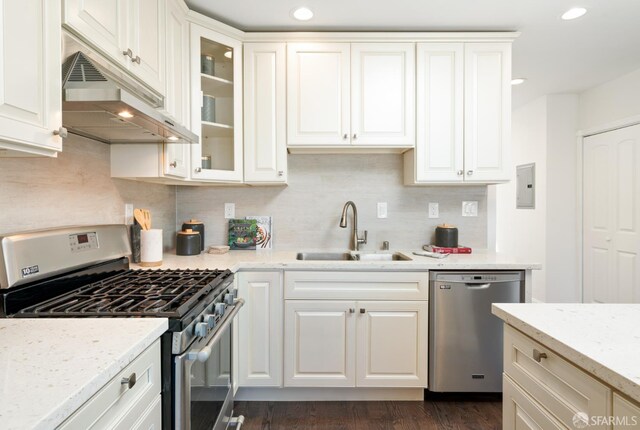 104 Bache St Unit A, San Francisco, CA 94110 - kitchen with stainless steel appliances, a sink, electric panel, under cabinet range hood, and decorative backsplash