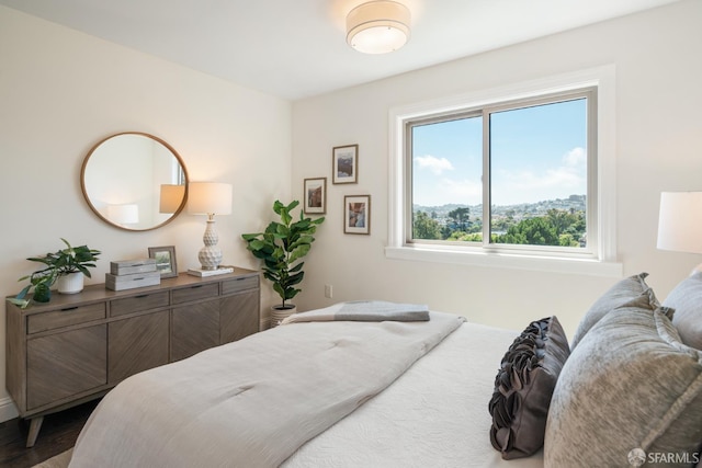 104 Bache St Unit A, San Francisco, CA 94110 - bedroom with wood finished floors