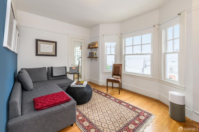 living room with light hardwood / wood-style floors and plenty of natural light