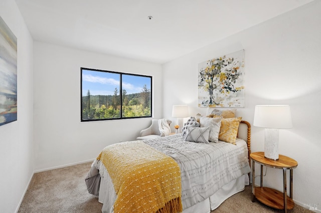 5 Briarwood Ct, Novato, CA 94947 - photo 13