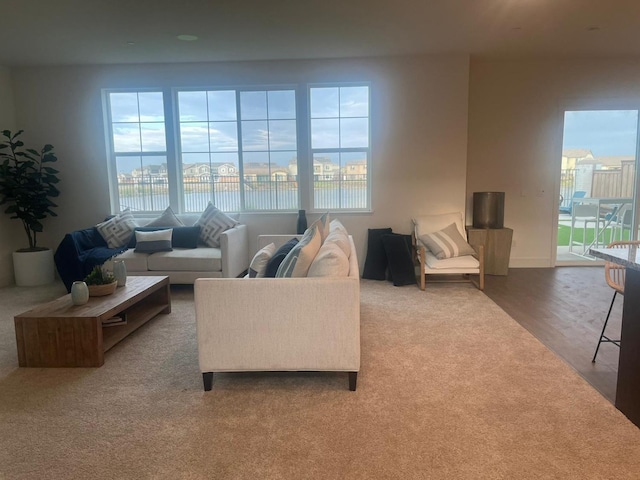 living room with plenty of natural light and hardwood / wood-style flooring