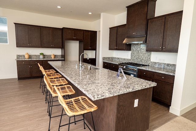 kitchen featuring light stone countertops, stainless steel stove, a sink, under cabinet range hood, and light wood-style flooring