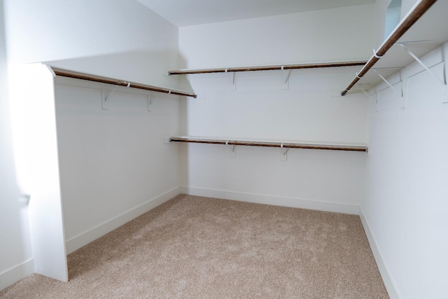 spacious closet featuring light carpet