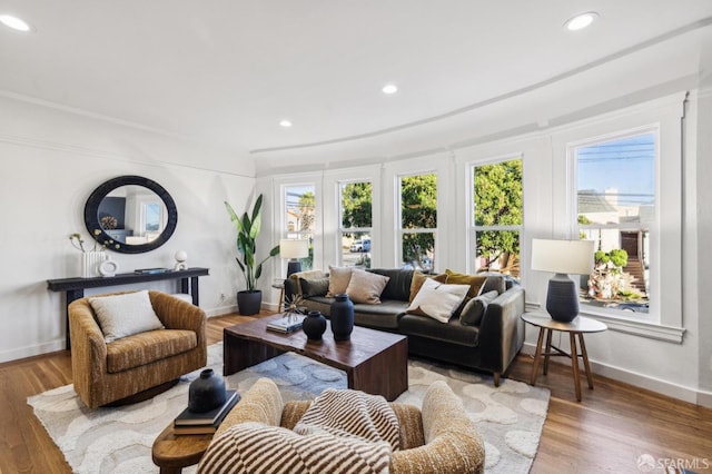 living room with hardwood / wood-style floors