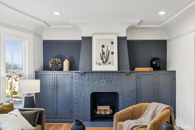 living area featuring wood-type flooring