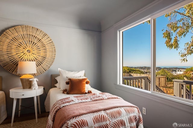 bedroom featuring multiple windows