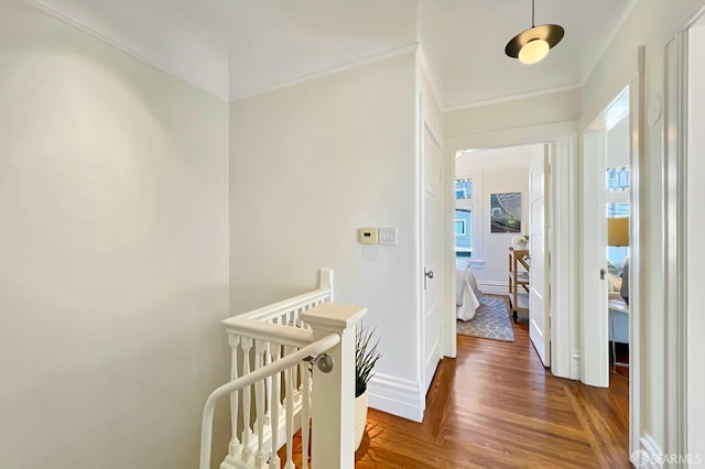 corridor featuring crown molding and dark hardwood / wood-style floors