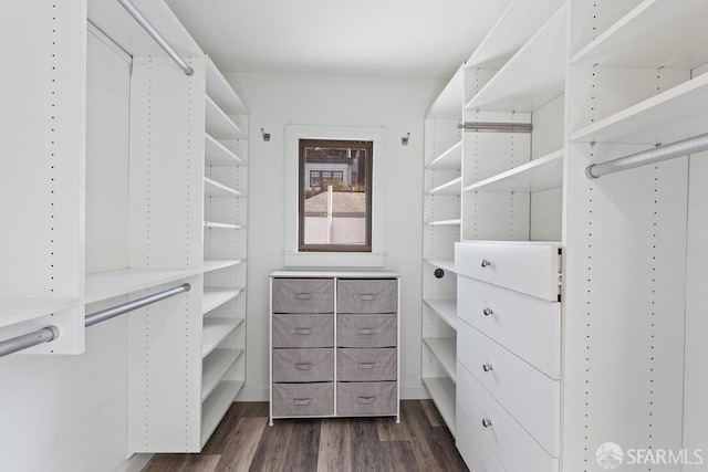 walk in closet with dark wood-type flooring