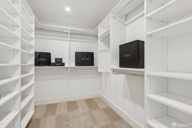 239 8th St Unit 14, San Francisco, CA 94103 - spacious closet with carpet floors