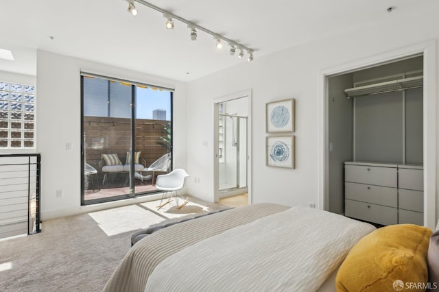 239 8th St Unit 14, San Francisco, CA 94103 - bedroom featuring access to exterior, rail lighting, carpet, and baseboards