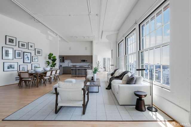 151 Alice B Toklas Pl Unit 610, San Francisco, CA 94109 - living area with track lighting, a towering ceiling, wood finished floors, and plenty of natural light