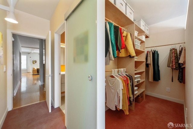 364 Arkansas St, San Francisco, CA 94107 - spacious closet with carpet floors