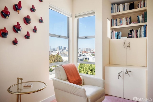 364 Arkansas St, San Francisco, CA 94107 - living area featuring a view of city