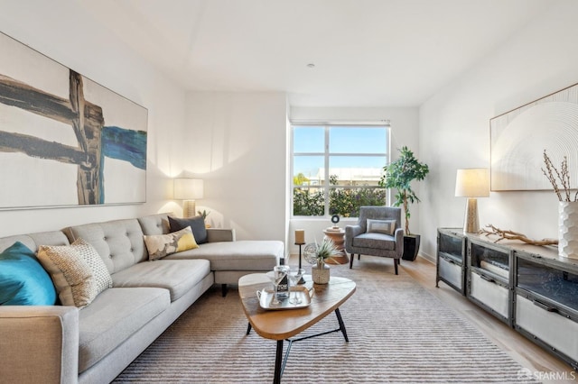 living room featuring light hardwood / wood-style floors