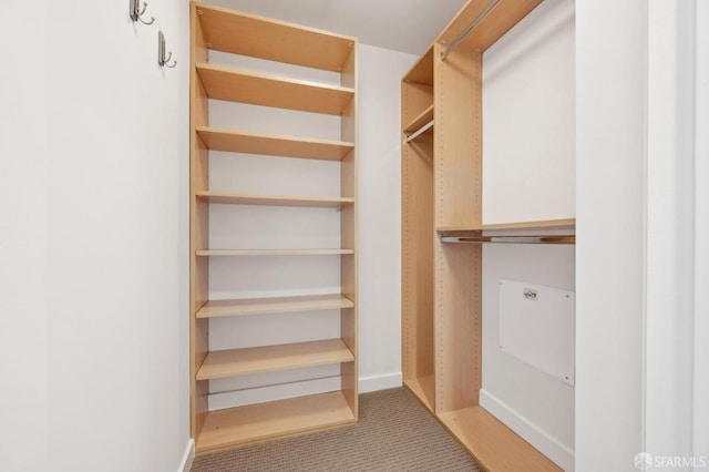 walk in closet with light colored carpet