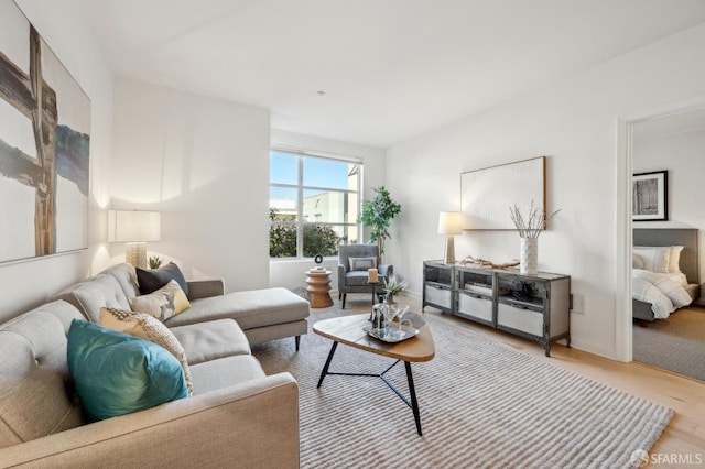 living room featuring light hardwood / wood-style flooring