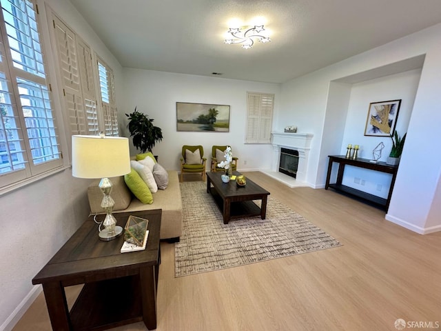 living room with hardwood / wood-style floors