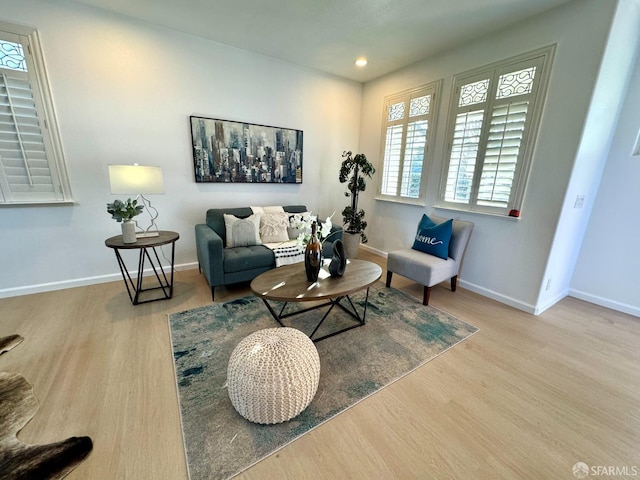 living area featuring light hardwood / wood-style flooring