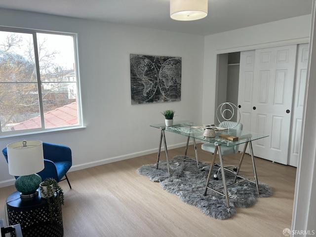 office featuring hardwood / wood-style flooring and a wealth of natural light