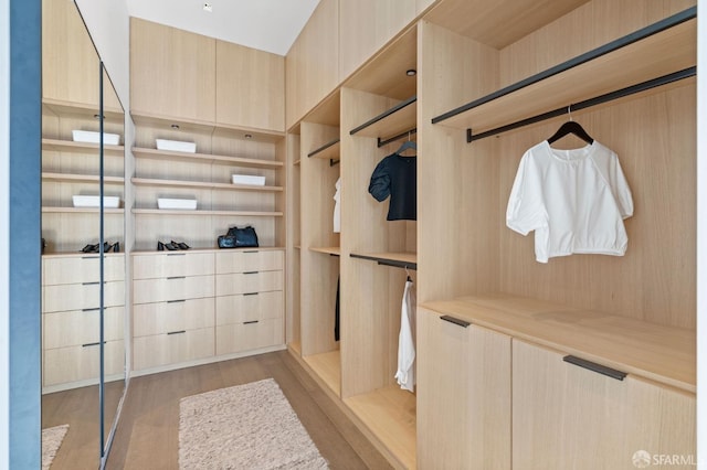 walk in closet with light hardwood / wood-style flooring