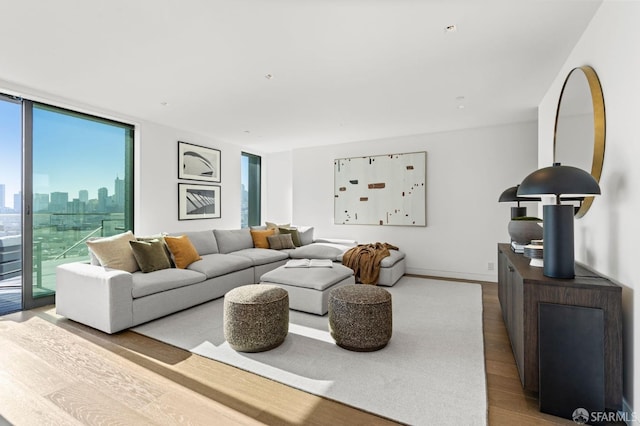 living room with wood-type flooring and expansive windows