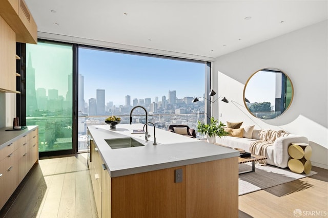 kitchen featuring expansive windows, a kitchen island with sink, sink, and light hardwood / wood-style flooring