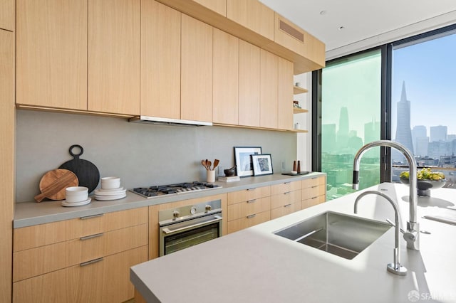 kitchen featuring light brown cabinetry, sink, appliances with stainless steel finishes, and expansive windows