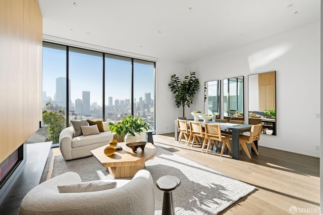 living room featuring expansive windows, light hardwood / wood-style flooring, and a healthy amount of sunlight