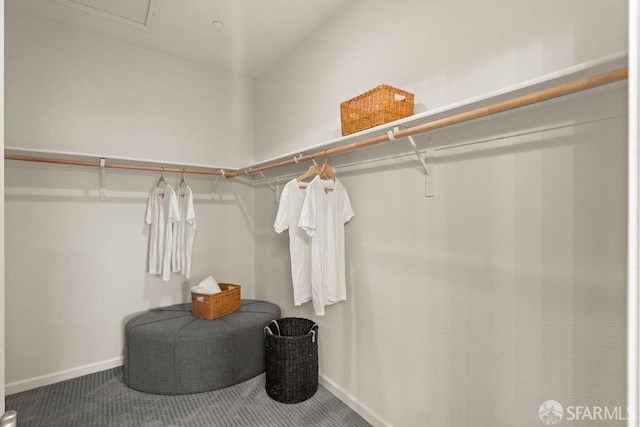 walk in closet with carpet flooring