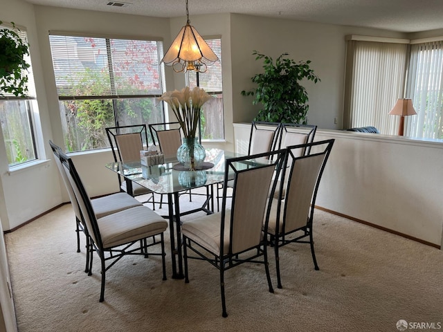 carpeted dining room with a wealth of natural light and a textured ceiling