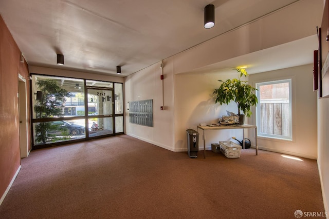 1715 Webster St, San Francisco, CA 94115 - photo 4