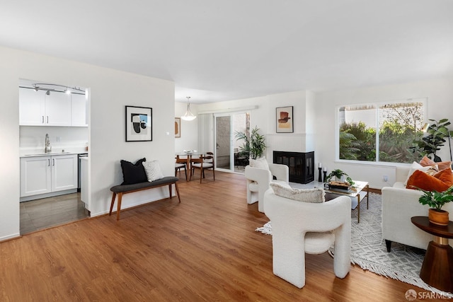 living room featuring hardwood / wood-style flooring and sink