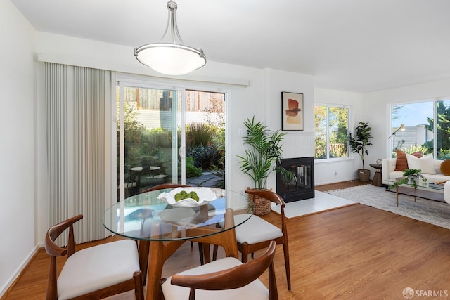 dining space featuring a tile fireplace, light hardwood / wood-style floors, and a healthy amount of sunlight