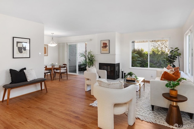 living room with a tile fireplace, hardwood / wood-style flooring, and a wealth of natural light