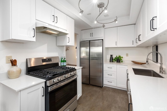 kitchen with track lighting, stainless steel appliances, a tray ceiling, sink, and white cabinets