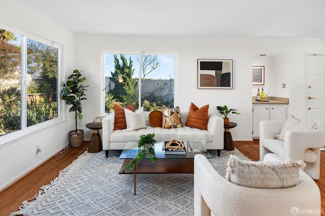 living room with a wealth of natural light and wood-type flooring