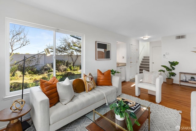 living room with a healthy amount of sunlight and wood-type flooring