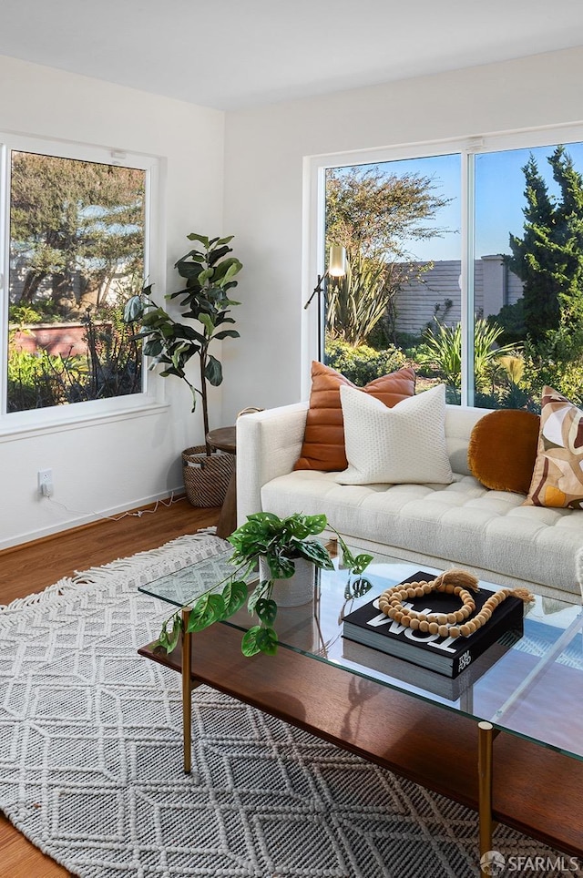 living room featuring a wealth of natural light and wood-type flooring