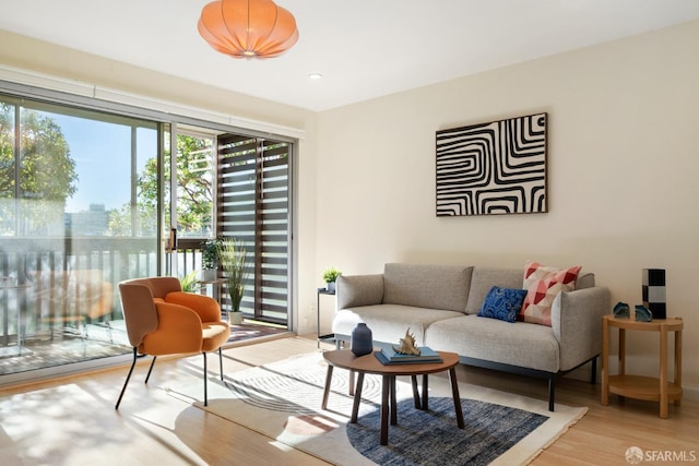 living room with light hardwood / wood-style floors