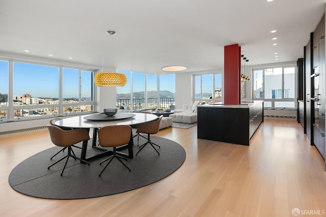 dining space featuring light hardwood / wood-style floors