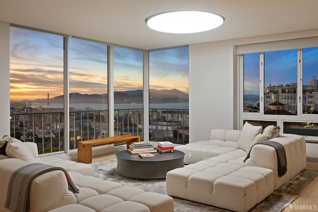 living room with hardwood / wood-style flooring and floor to ceiling windows