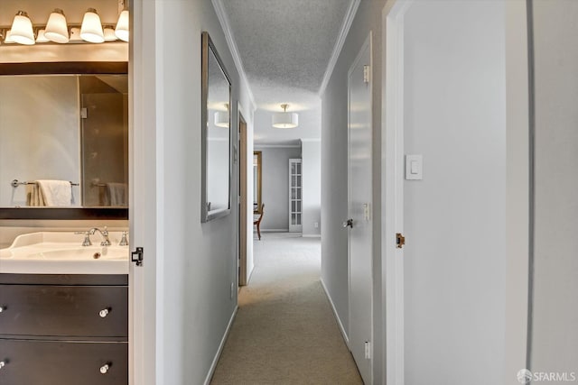 hallway featuring a textured ceiling, light colored carpet, ornamental molding, and sink