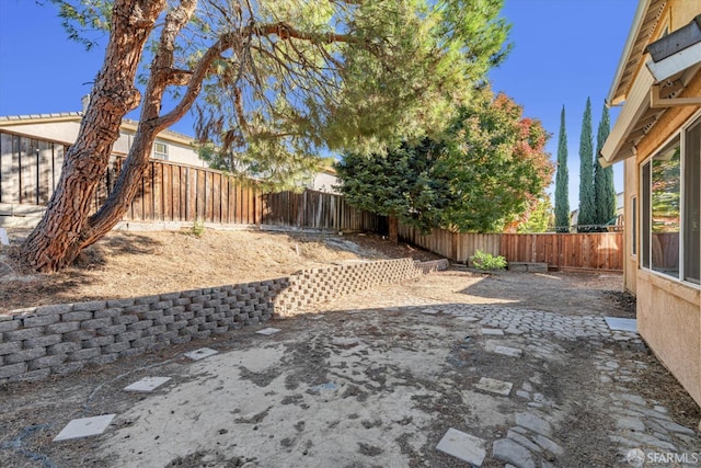 view of yard with a patio area