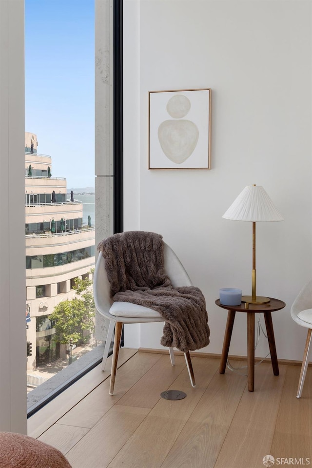 1 Steuart Ln Unit 608, San Francisco, CA 94105 - living area featuring wood finished floors and a water view