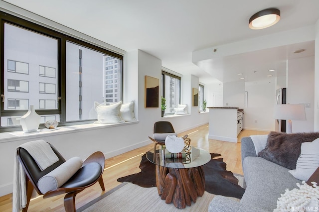 living room with light hardwood / wood-style floors