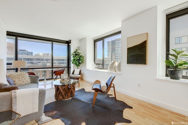 living room featuring light hardwood / wood-style flooring and a wall of windows