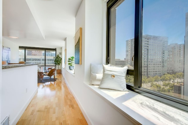 corridor featuring light hardwood / wood-style flooring and plenty of natural light